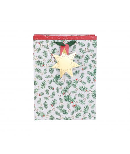 DAVID JONES RUKSAK ŽENSKO CRVENI-20P-6276-2-RED