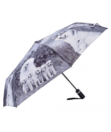 DAVID JONES RUKSAK ŽENSKO CRVENI-20P-6276-2-RED