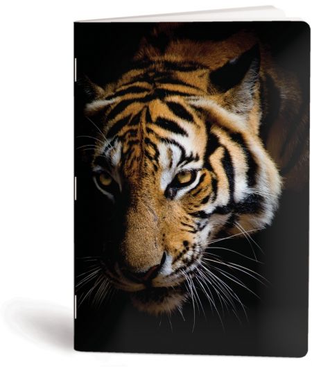 DAVID JONES RUKSAK ŽENSKO CRVENI-20P-6276-2-RED