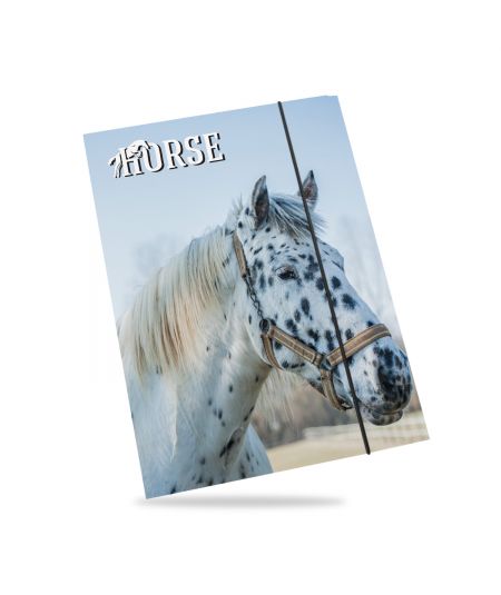 DAVID JONES RUKSAK ŽENSKO CRVENI-20P-6276-2-RED