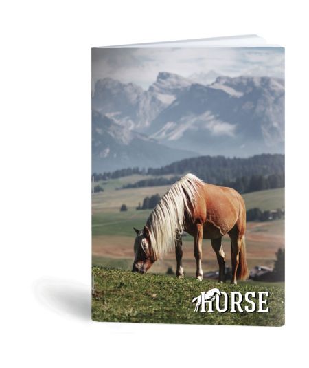 DAVID JONES RUKSAK ŽENSKO CRVENI-20P-6276-2-RED