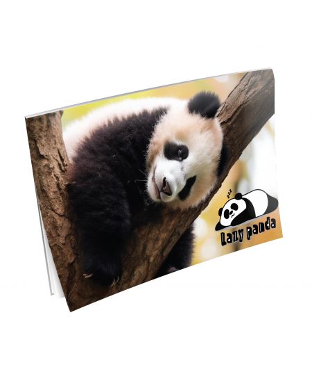 DAVID JONES RUKSAK ŽENSKO CRVENI-20P-6276-2-RED